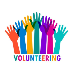 Volunteer Application 